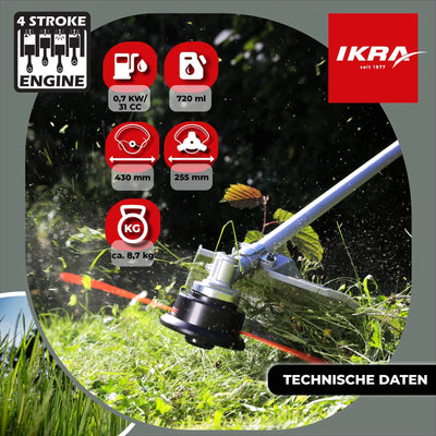 Benzin Freischneider IBF 31-4