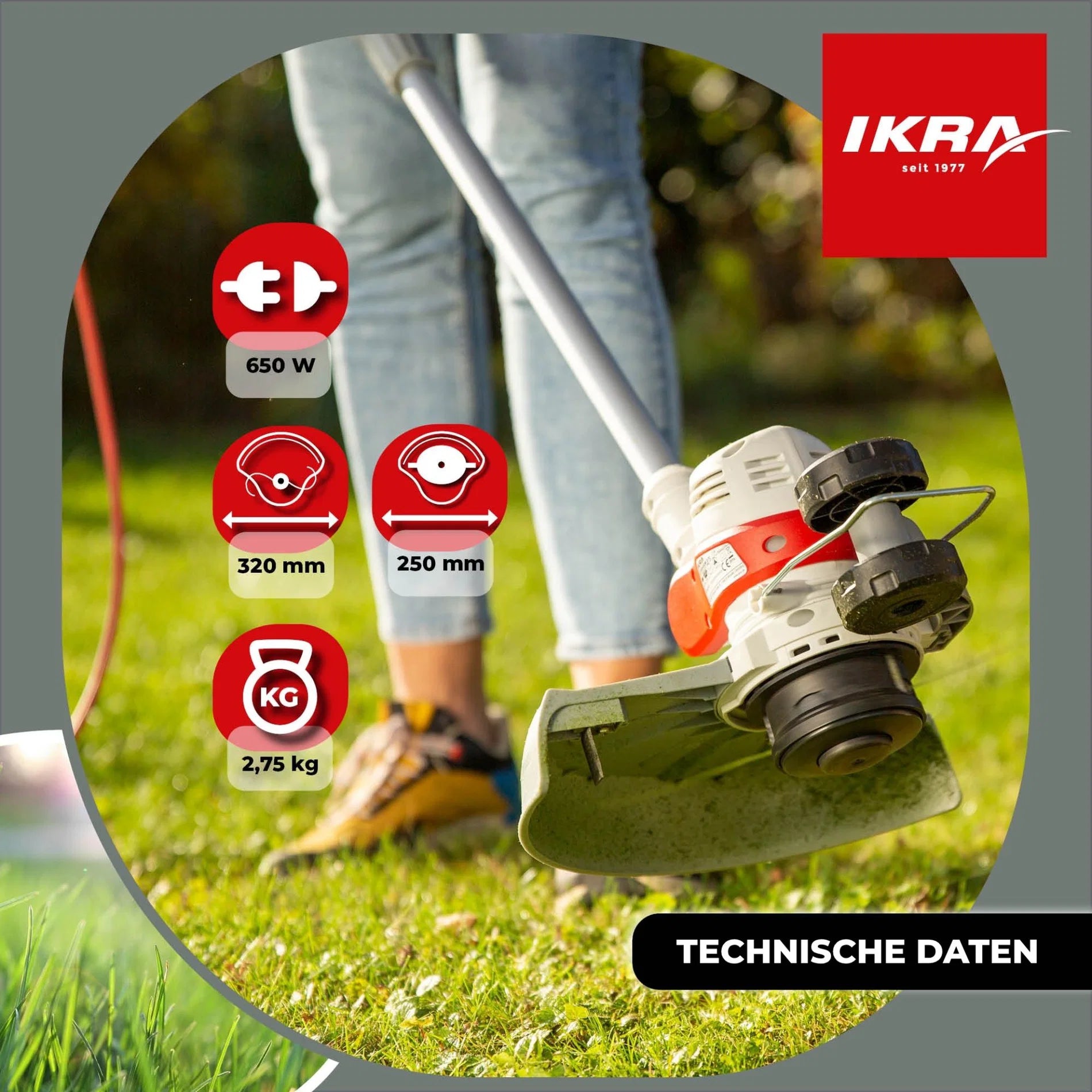 Elektro Rasentrimmer 2in1 IGT 650 D-TC